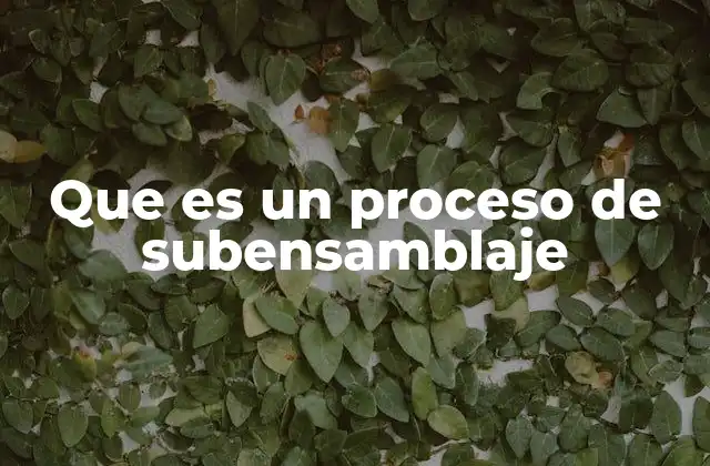 Que es un Proceso de Subensamblaje
