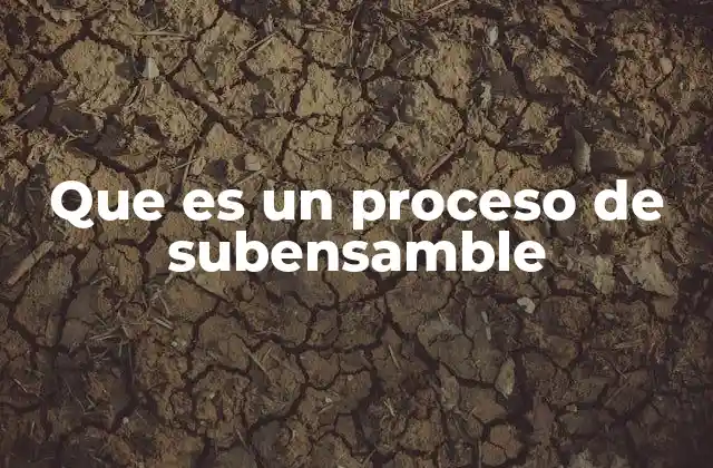 Que es un Proceso de Subensamble