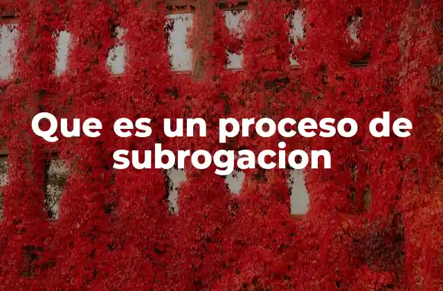 Cómo opera el concepto de subrogación sin mencionar directamente la palabra clave