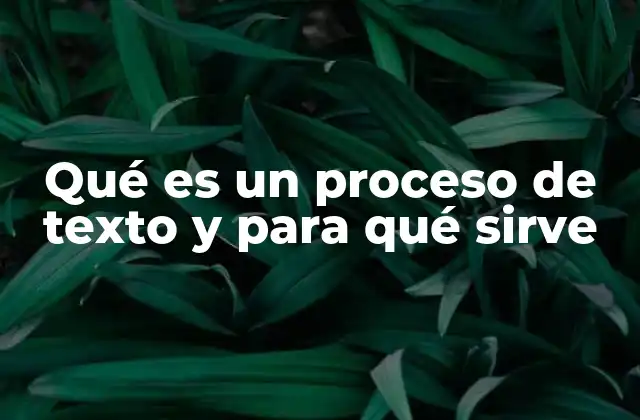 Qué es un Proceso de Texto y para Qué Sirve
