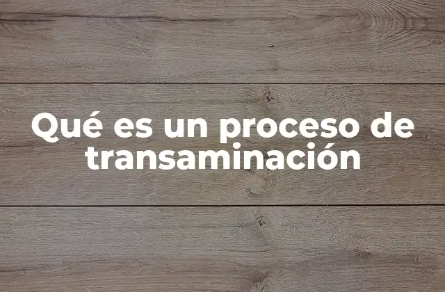 Qué es un Proceso de Transaminación