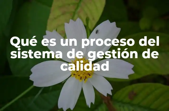 Qué es un Proceso Del Sistema de Gestión de Calidad