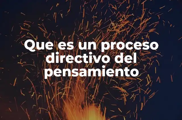 Que es un Proceso Directivo Del Pensamiento