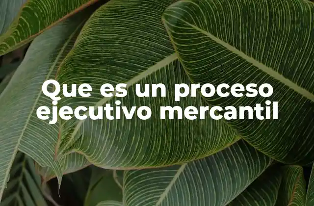 Que es un Proceso Ejecutivo Mercantil