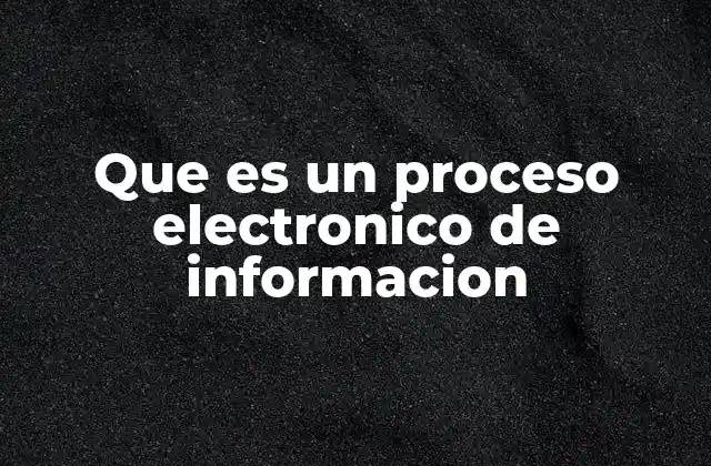 Que es un Proceso Electronico de Informacion