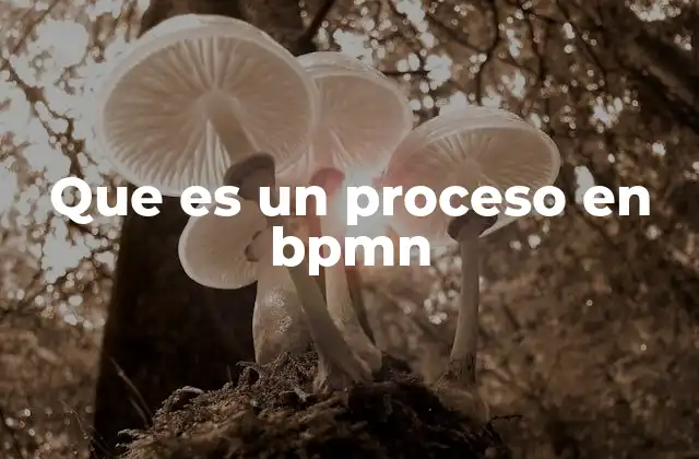 Que es un Proceso en Bpmn