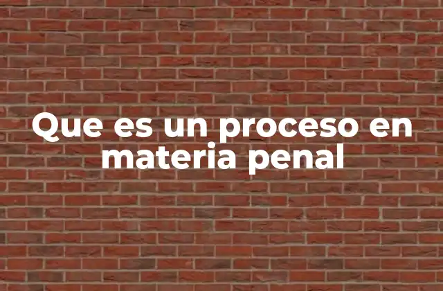Que es un Proceso en Materia Penal