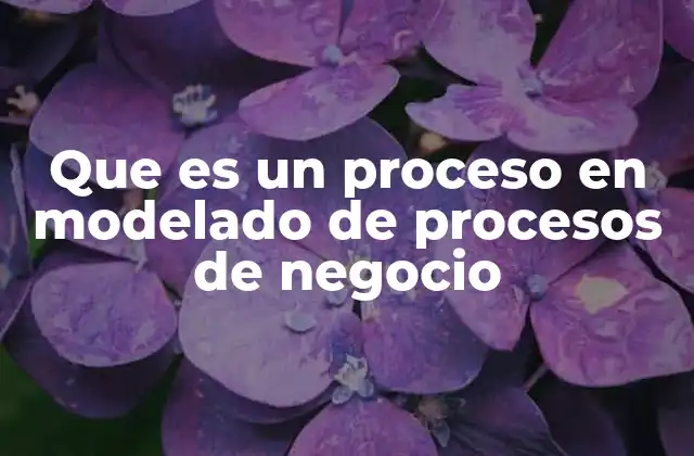 Que es un Proceso en Modelado de Procesos de Negocio