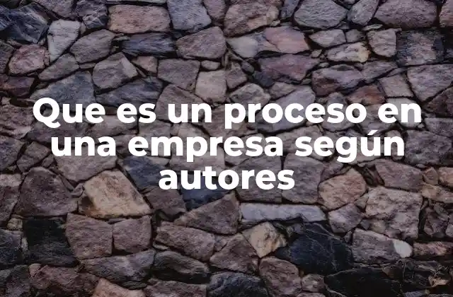 Que es un Proceso en una Empresa según Autores