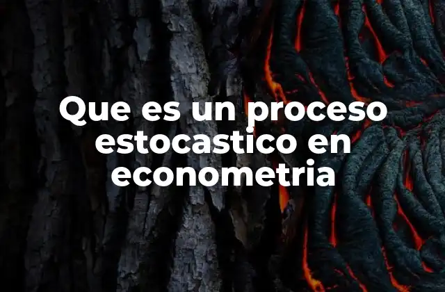 Que es un Proceso Estocastico en Econometria