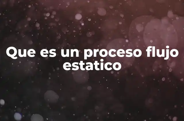 Que es un Proceso Flujo Estatico