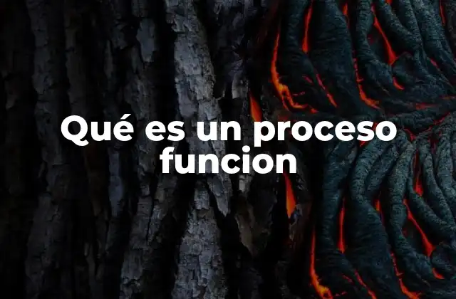Qué es un Proceso Funcion