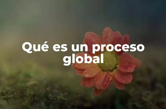 Qué es un Proceso Global