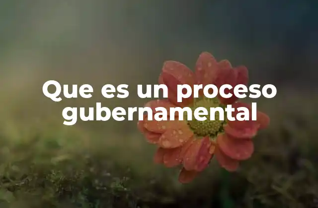 Que es un Proceso Gubernamental