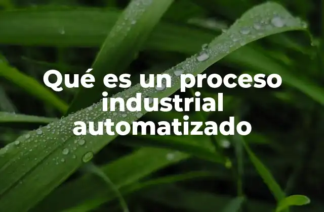 Qué es un Proceso Industrial Automatizado