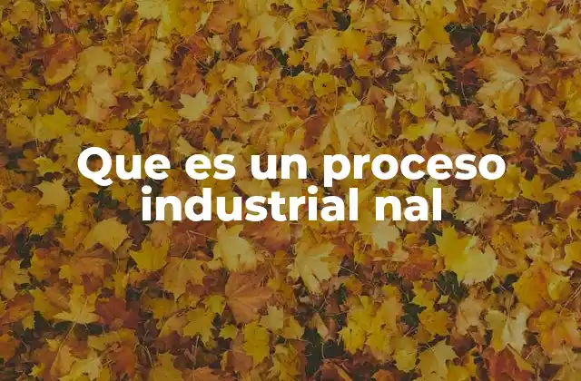 Que es un Proceso Industrial Nal