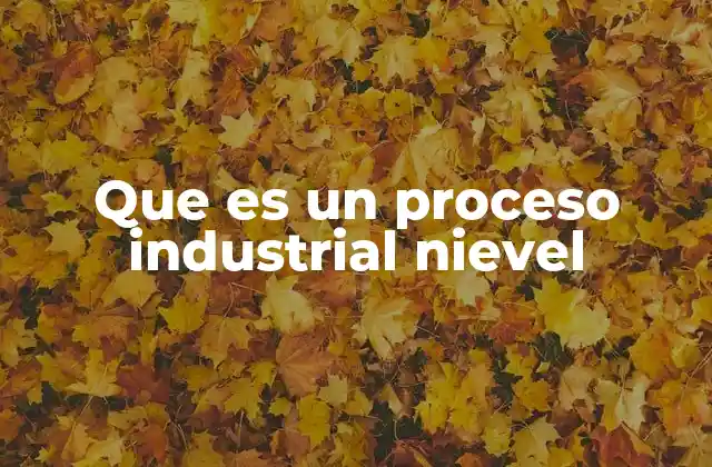 Que es un Proceso Industrial Nievel