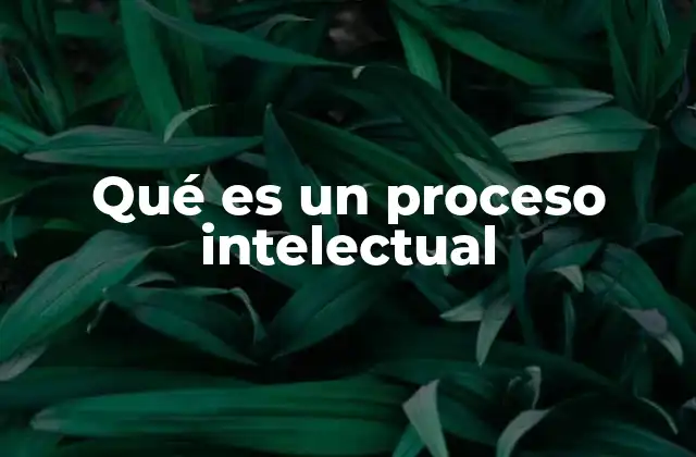 Qué es un Proceso Intelectual