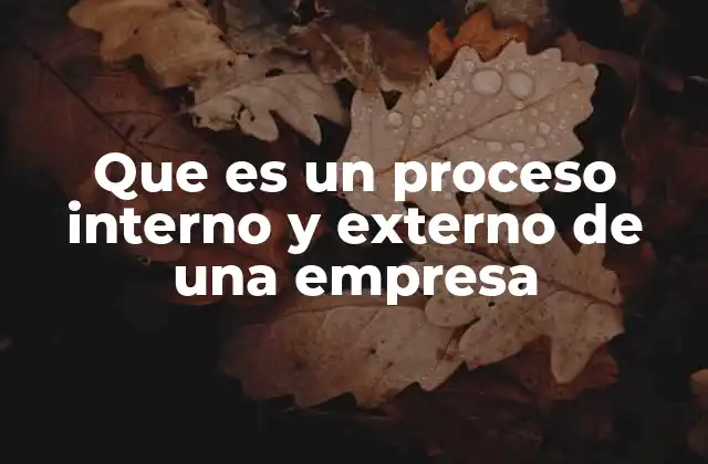 Que es un Proceso Interno y Externo de una Empresa