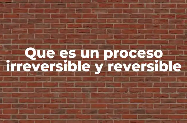Que es un Proceso Irreversible y Reversible