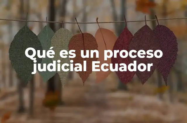 El marco legal que rige los procesos judiciales en Ecuador