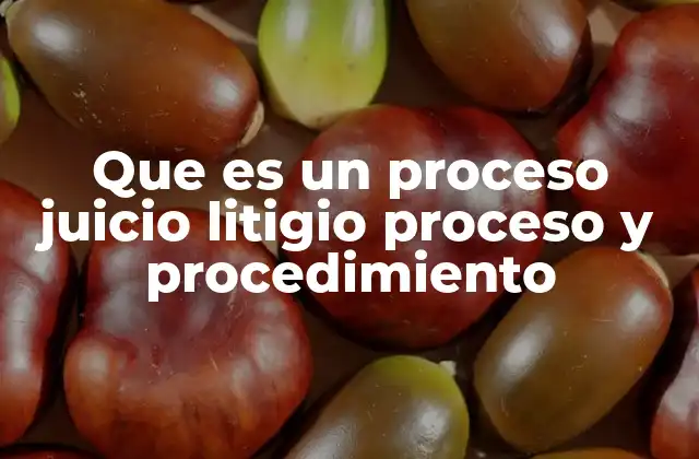 Que es un Proceso Juicio Litigio Proceso y Procedimiento