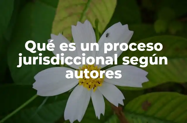 Qué es un Proceso Jurisdiccional según Autores