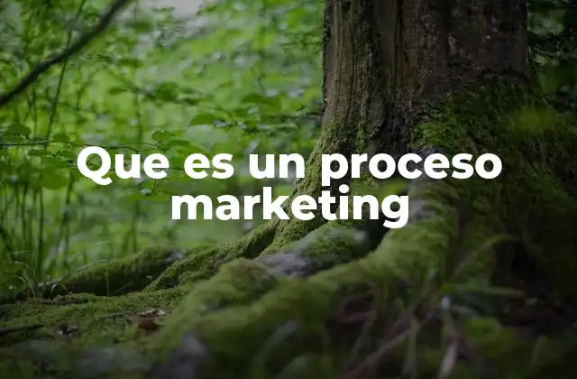 Que es un Proceso Marketing