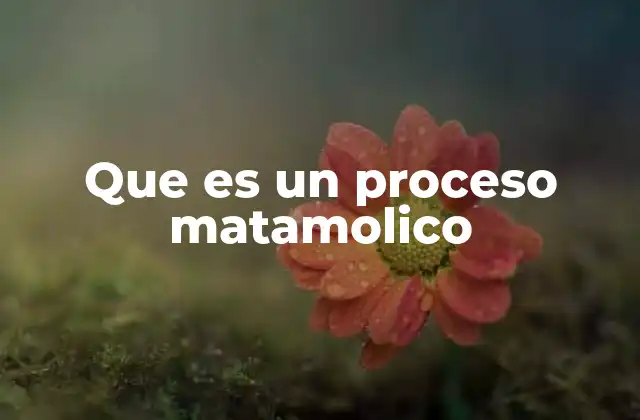 Que es un Proceso Matamolico