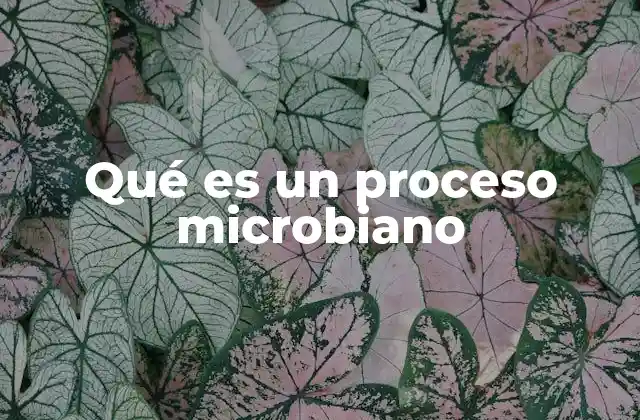 Qué es un Proceso Microbiano