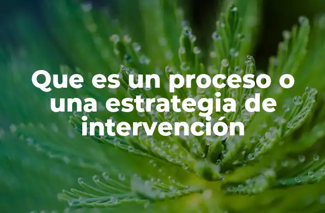 Que es un Proceso o una Estrategia de Intervención