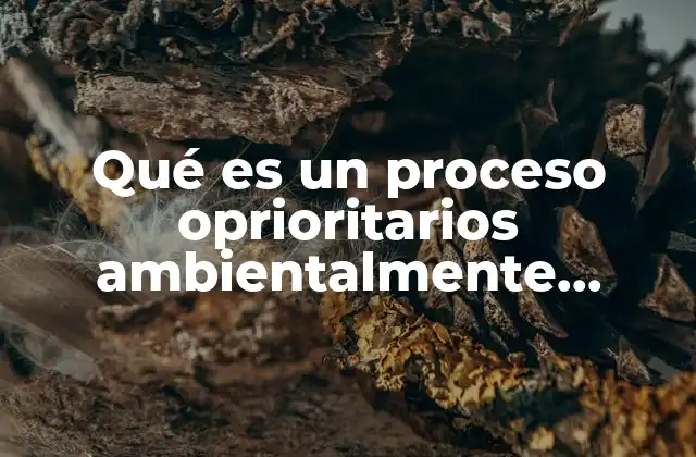 Qué es un Proceso Oprioritarios Ambientalmente Hablando