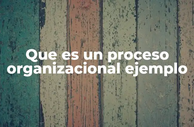 Que es un Proceso Organizacional Ejemplo