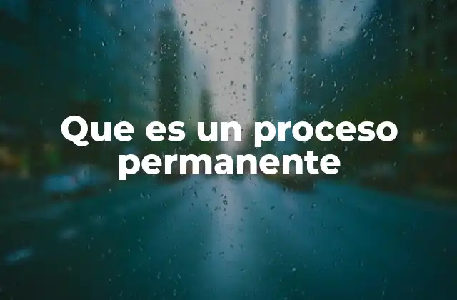 Que es un Proceso Permanente
