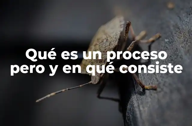 Qué es un Proceso pero y en Qué Consiste