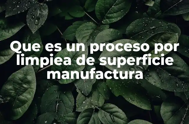 Que es un Proceso por Limpiea de Superficie Manufactura