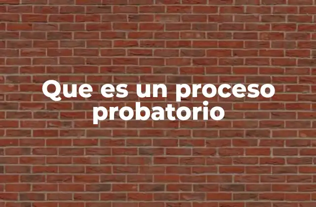 Que es un Proceso Probatorio