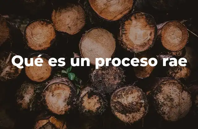 Qué es un Proceso Rae