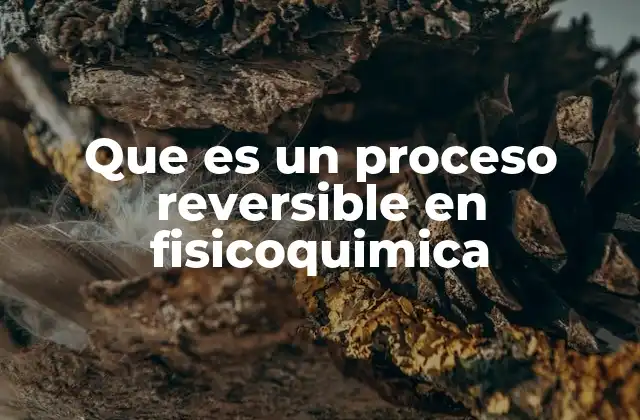 Características esenciales de los procesos reversibles