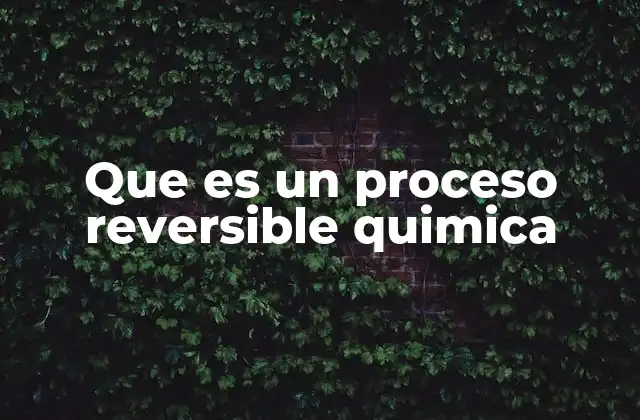 Que es un Proceso Reversible Quimica