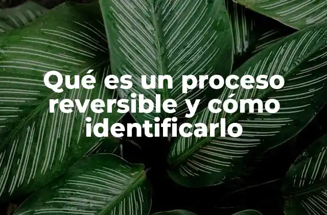 Qué es un Proceso Reversible y Cómo Identificarlo