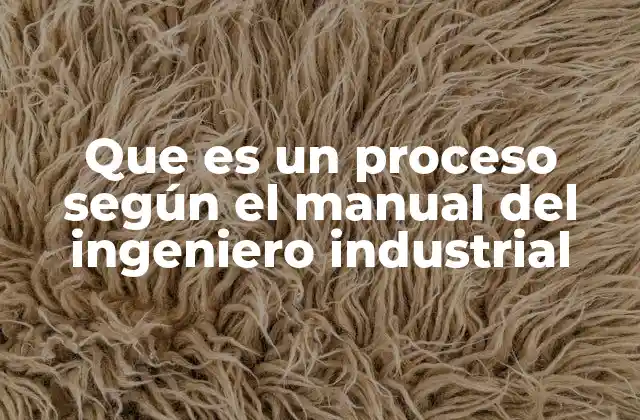 Que es un Proceso según el Manual Del Ingeniero Industrial