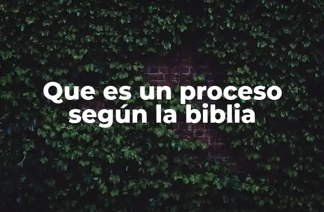 Que es un Proceso según la Biblia