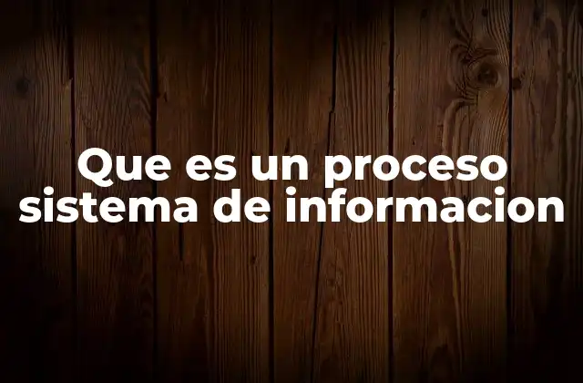 Que es un Proceso Sistema de Informacion