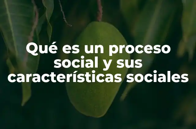 Qué es un Proceso Social y Sus Características Sociales