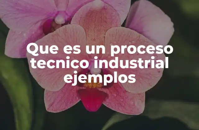 Que es un Proceso Tecnico Industrial Ejemplos