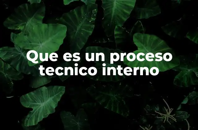 Que es un Proceso Tecnico Interno