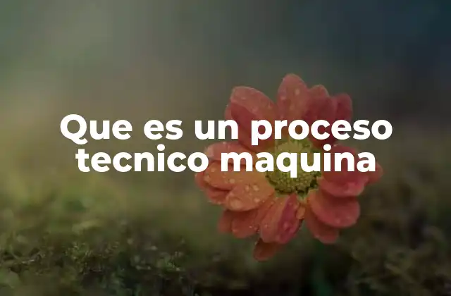 Que es un Proceso Tecnico Maquina