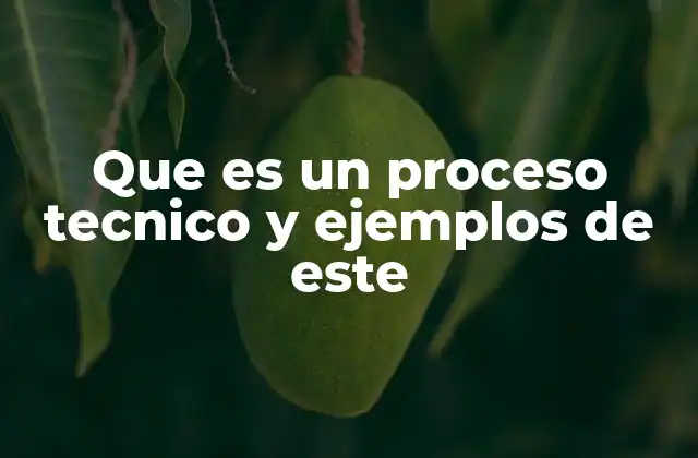 Que es un Proceso Tecnico y Ejemplos de Este 2 La importancia de los procesos técnicos en la industria