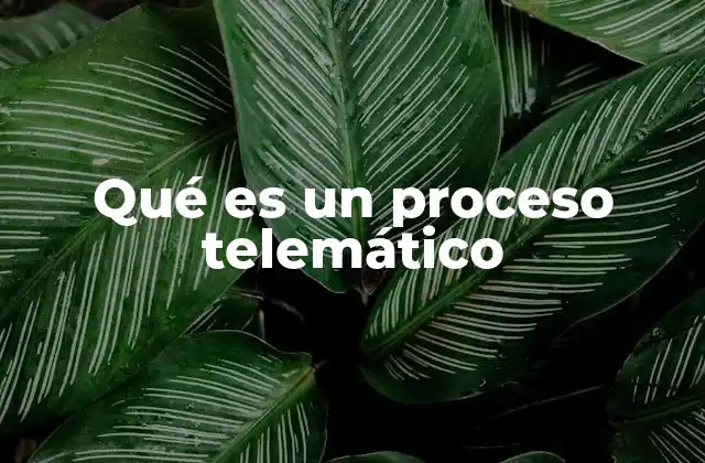 Qué es un Proceso Telemático